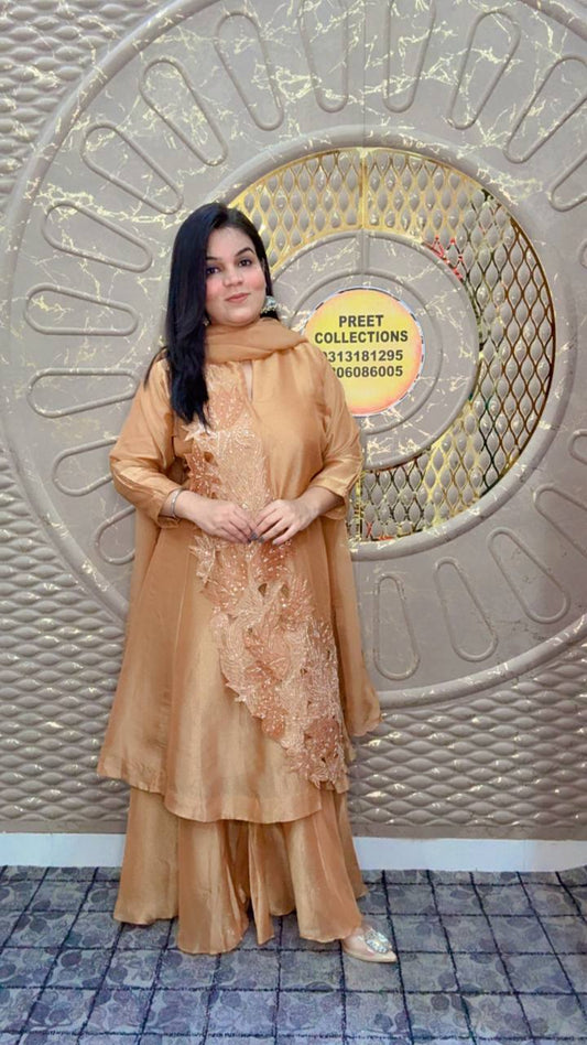 Gold Embroidered Tissue Shimmer Silk Suit Set