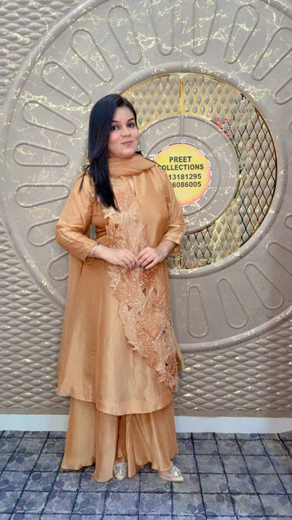 Gold Embroidered Tissue Shimmer Silk Suit Set